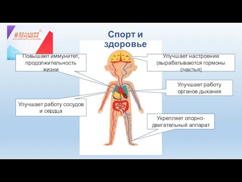 Повышает иммунитет, продолжительность жизни Улучшает настроение (вырабатываются гормоны счастья) Улучшает работу органов