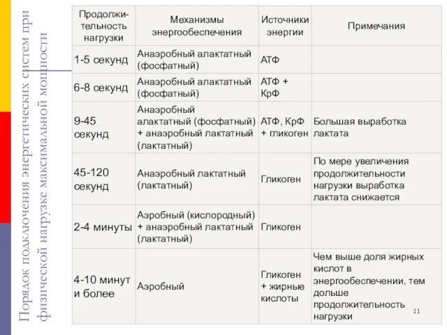 Порядок подключения энергетических систем при физической нагрузке максимальной мощности