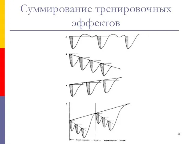 Суммирование тренировочных эффектов