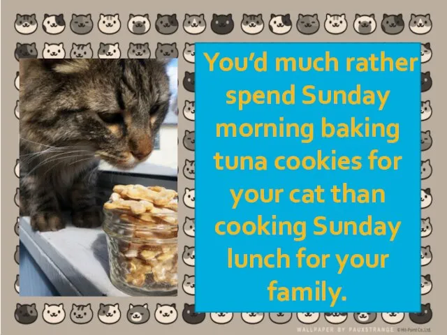 You’d much rather spend Sunday morning baking tuna cookies for your cat