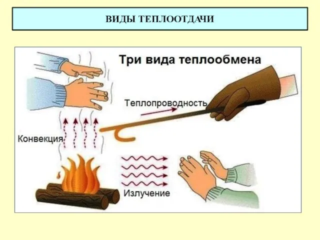 ВИДЫ ТЕПЛООТДАЧИ