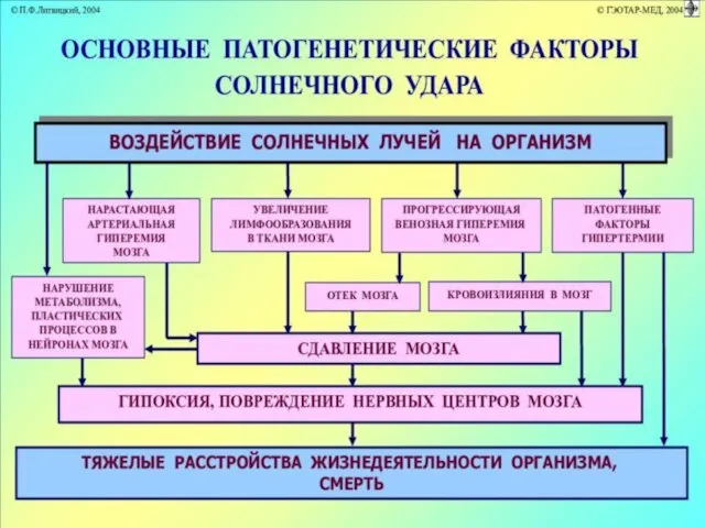 ПРИЗНАКИ ГИПЕРТЕРМИИ