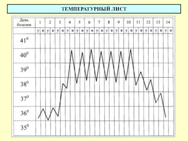 ТЕМПЕРАТУРНЫЙ ЛИСТ