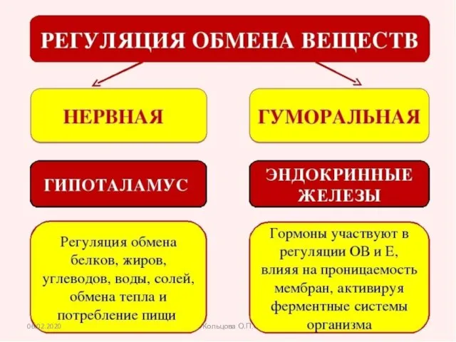 06.02.2020 Кольцова О.П.