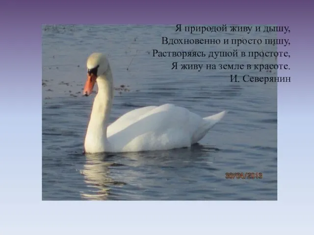 Я природой живу и дышу, Вдохновенно и просто пишу, Растворяясь душой в