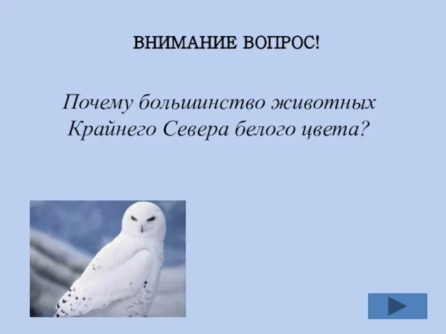 ВНИМАНИЕ ВОПРОС! Почему большинство животных Крайнего Севера белого цвета? Животное белого цвета