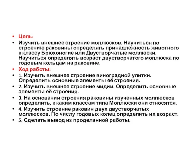 Цель: Изучить внешнее строение моллюсков. Научиться по строению раковины определять принадлежность животного