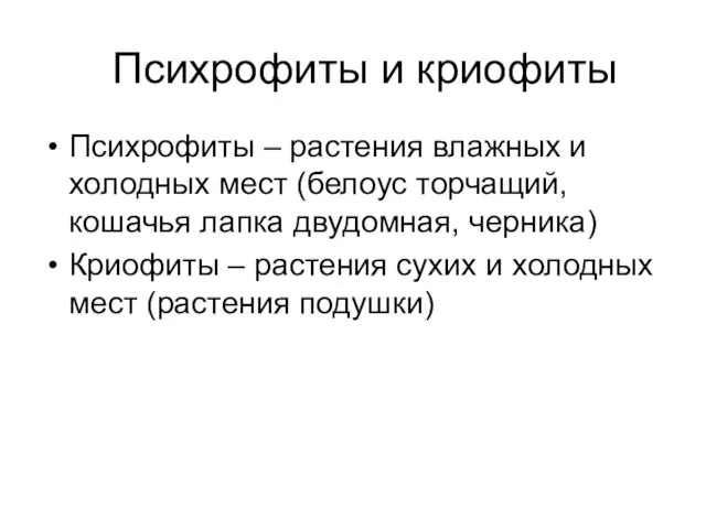 Психрофиты и криофиты Психрофиты – растения влажных и холодных мест (белоус торчащий,