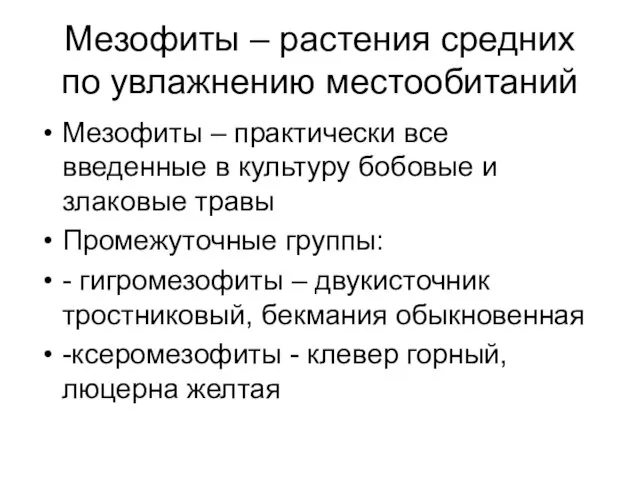 Мезофиты – растения средних по увлажнению местообитаний Мезофиты – практически все введенные