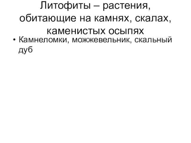 Литофиты – растения, обитающие на камнях, скалах, каменистых осыпях Камнеломки, можжевельник, скальный дуб