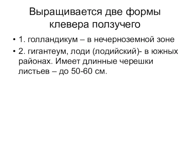 Выращивается две формы клевера ползучего 1. голландикум – в нечерноземной зоне 2.