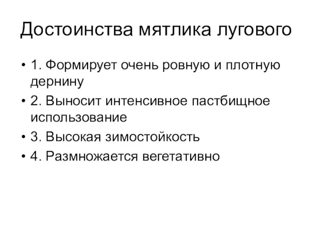 Достоинства мятлика лугового 1. Формирует очень ровную и плотную дернину 2. Выносит