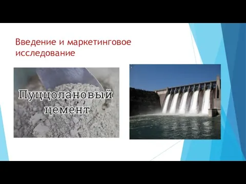 Введение и маркетинговое исследование