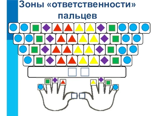 Зоны «ответственности» пальцев