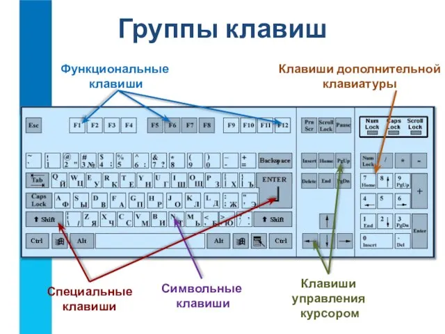 Группы клавиш Функциональные клавиши Клавиши дополнительной клавиатуры Символьные клавиши Клавиши управления курсором Специальные клавиши