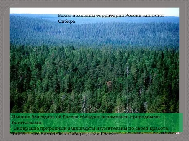 Более половины территории России занимает Сибирь Именно благодаря ей Россия обладает огромными