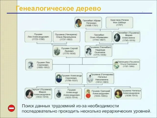 Генеалогическое дерево Поиск данных трудоемкий из-за необходимости последовательно проходить несколько иерархических уровней.