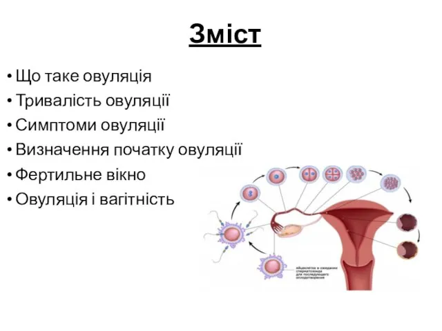 Зміст Що таке овуляція Тривалість овуляції Симптоми овуляції Визначення початку овуляції Фертильне вікно Овуляція і вагітність