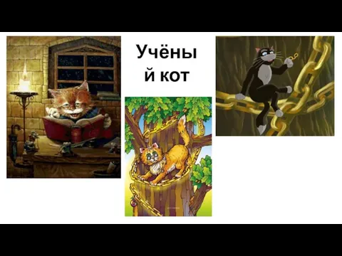 Учёный кот