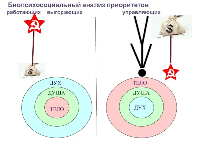 ТЕЛО ДУША ДУХ ТЕЛО ДУША ДУХ Биопсихосоциальный анализ приоритетов работающих выгорающих управляющих