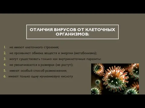 ОТЛИЧИЯ ВИРУСОВ ОТ КЛЕТОЧНЫХ ОРГАНИЗМОВ: не имеют клеточного строения; не проявляют обмена