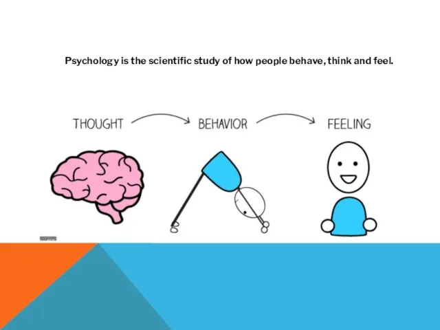 Psychology is the scientific study of how people behave, think and feel.