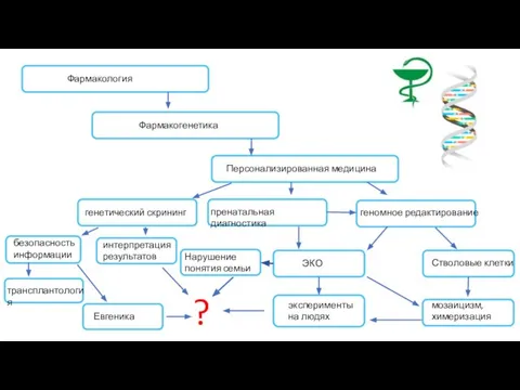 Фармакология Фармакогенетика Фармакогенетика Фармакогенетика Персонализированная медицина Фармакогенетика генетический скрининг Фармакогенетика Фармакогенетика пренатальная