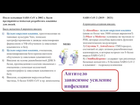 После вспышки SARS-CoV в 2002 г. были предприняты попытки разработать вакцины для