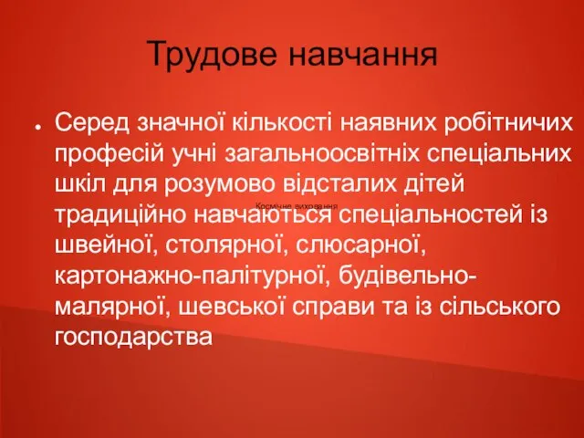 Трудове навчання Серед значної кількості наявних робітничих професій учні загальноосвітніх спеціальних шкіл