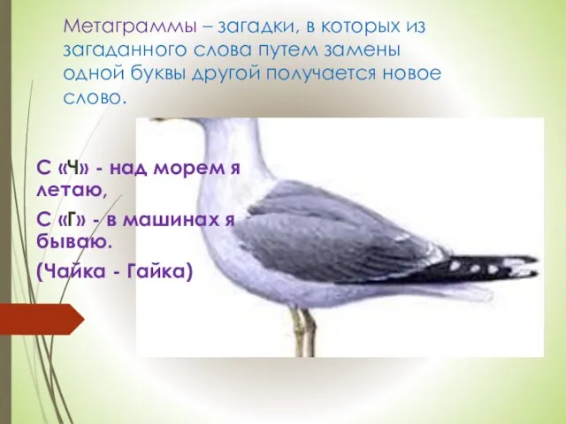 Метаграммы – загадки, в которых из загаданного слова путем замены одной буквы