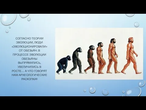 СОГЛАСНО ТЕОРИИ ЭВОЛЮЦИИ, ЛЮДИ «ЭВОЛЮЦИОНИРОВАЛИ» ОТ ОБЕЗЬЯН. В ПРОЦЕССЕ ЭВОЛЮЦИИ ОБЕЗЬЯНЫ ВЫПРЯМИЛИСЬ,