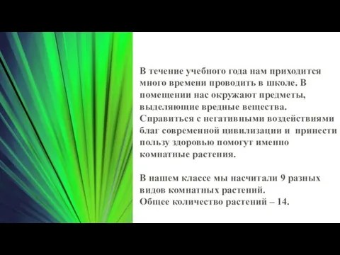 В течение учебного года нам приходится много времени проводить в школе. В