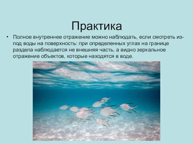 Практика Полное внутреннее отражение можно наблюдать, если смотреть из-под воды на поверхность: