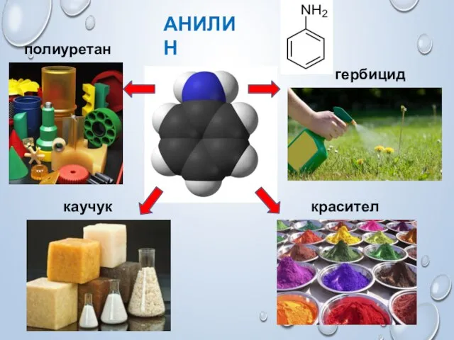 АНИЛИН полиуретаны каучуки гербициды красители