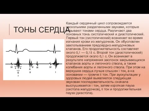 ТОНЫ СЕРДЦА Каждый сердечный цикл сопровождается несколькими разделенными звуками, которые называют тонами