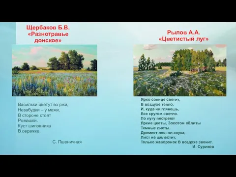 Щербаков Б.В. «Разнотравье донское» Васильки цветут во ржи, Незабудки – у межи,