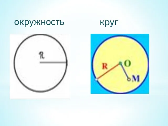 окружность круг