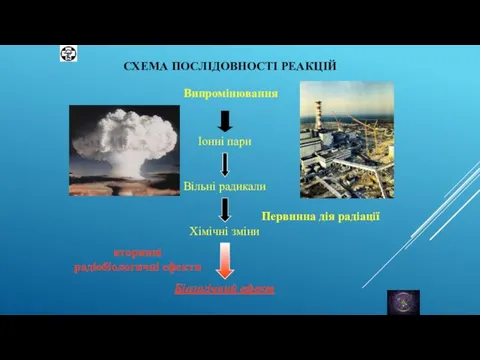 СХЕМА ПОСЛІДОВНОСТІ РЕАКЦІЙ Біологічний ефект Первинна дія радіації вторинні радіобіологичні ефекти Випромінювання