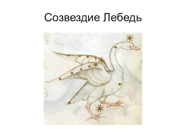 Созвездие Лебедь