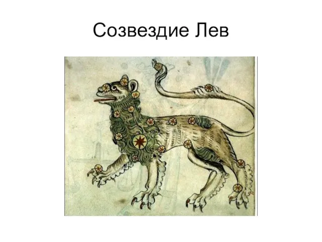 Созвездие Лев