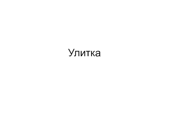 Улитка