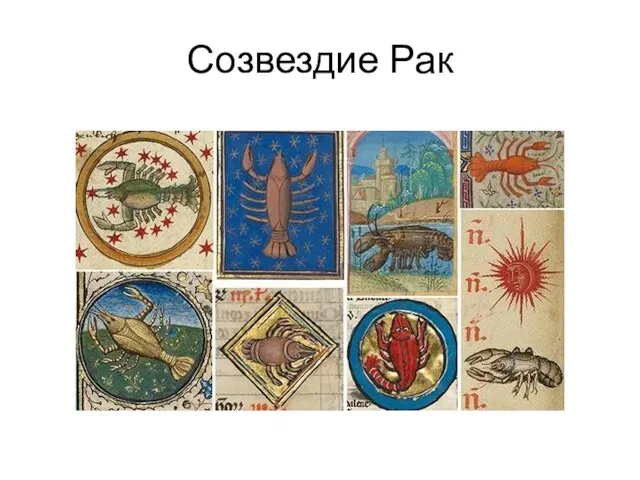 Созвездие Рак