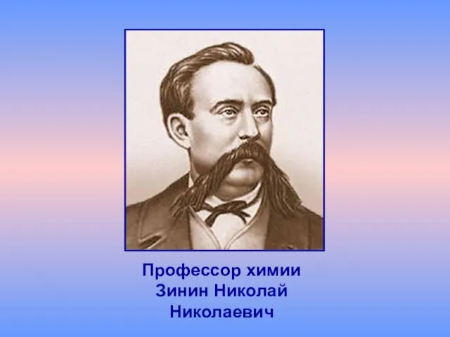 Профессор химии Зинин Николай Николаевич