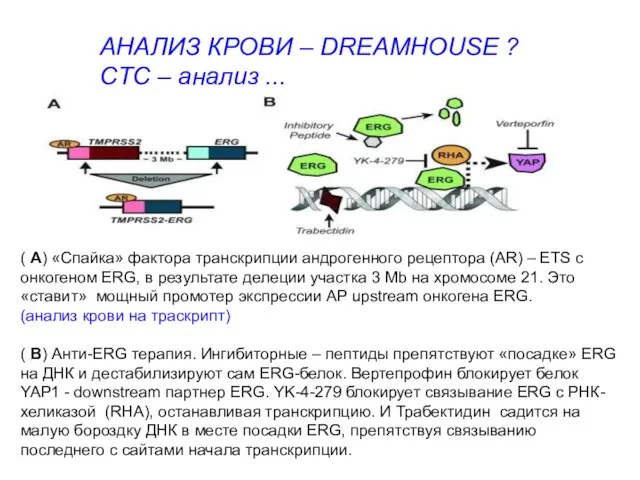 ( A) «Спайка» фактора транскрипции андрогенного рецептора (AR) – ETS c онкогеном