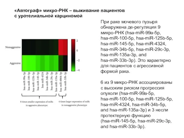 При раке мочевого пузыря обнаружена де-регуляция 9 микро-РНК (hsa-miR-99a-5p, hsa-miR-100-5p, hsa-miR-125b-5p, hsa-miR-145-5p,