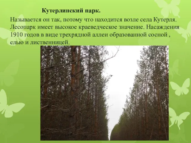 Кутерлинский парк. Называется он так, потому что находится возле села Кутерля. Лесопарк