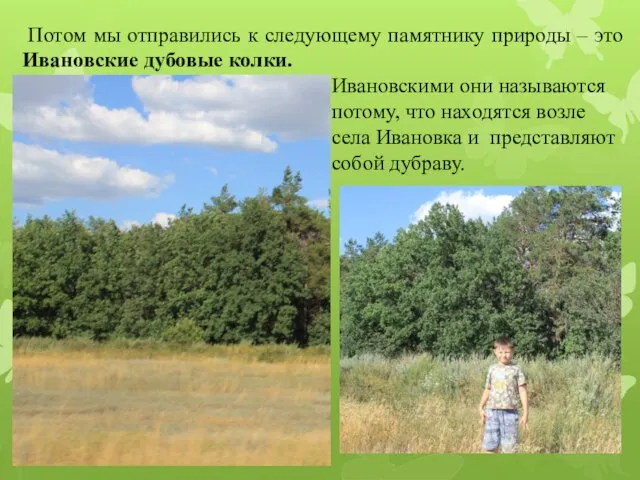 Потом мы отправились к следующему памятнику природы – это Ивановские дубовые колки.