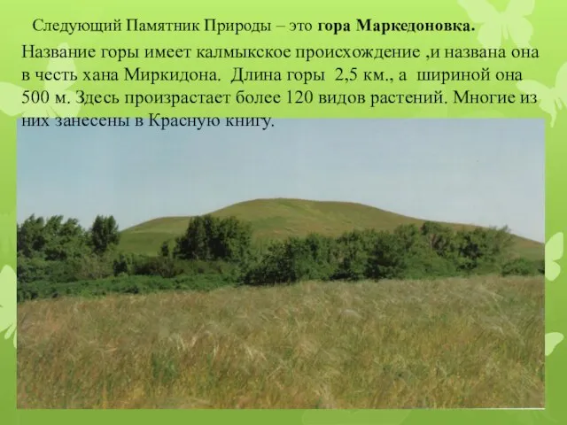 Следующий Памятник Природы – это гора Маркедоновка. Название горы имеет калмыкское происхождение