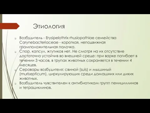 Этиология Возбудитель - Erysipelothrix rhusiopathiae семейства Corynebacteriaceae - короткая, неподвижная грамположительная палочка.