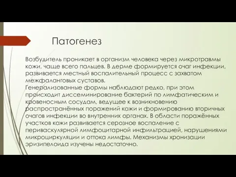 Патогенез Возбудитель проникает в организм человека через микротравмы кожи, чаще всего пальцев.